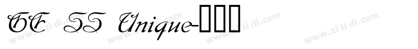 GE SS Unique字体转换